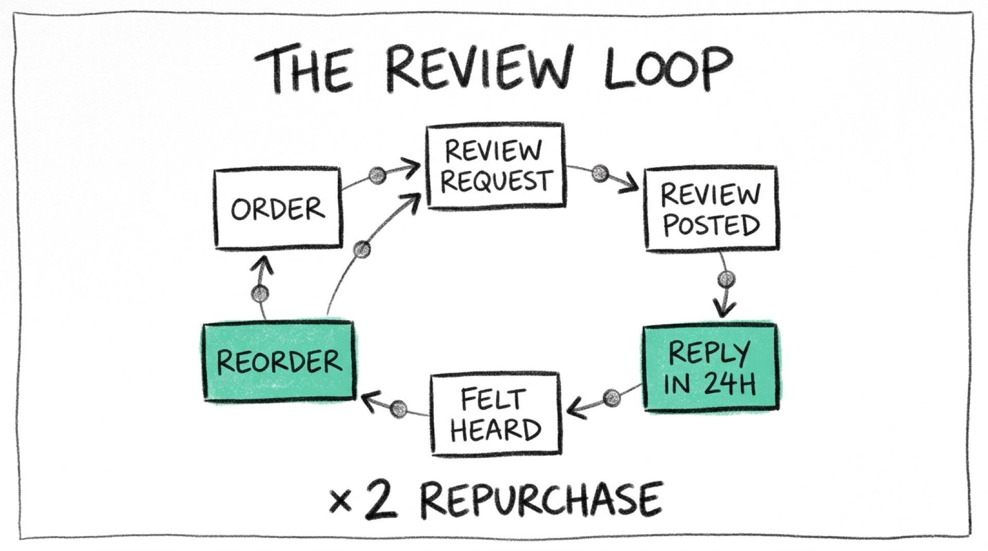 Le loop avis-réponse-rachat : comment les avis fidélisent vos clients Schéma crayon 6B d'un cycle en 6 étapes dans le sens des aiguilles d'une montre — Order, Review Request, Review Posted, Reply in 24H (bloc menthe), Felt Heard, Reorder (bloc menthe) — reliés par des flèches, mention ×2 Repurchase en bas