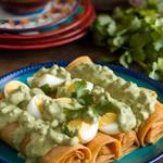 A serving of papadzules with corn tortillas filled with eggs and topped with pumpkin seed sauce, garnished with cilantro.