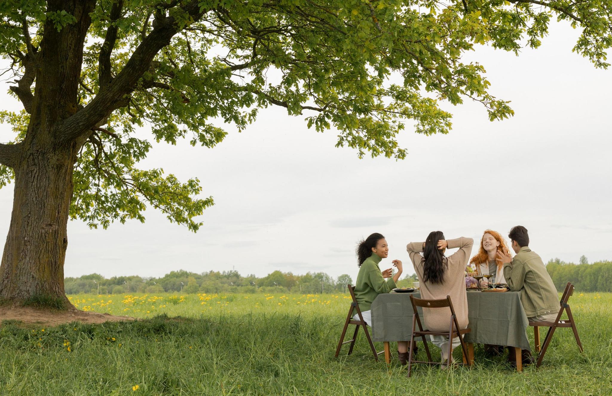 Un campo con un árbol y un círculo de damas haciendo un picnic