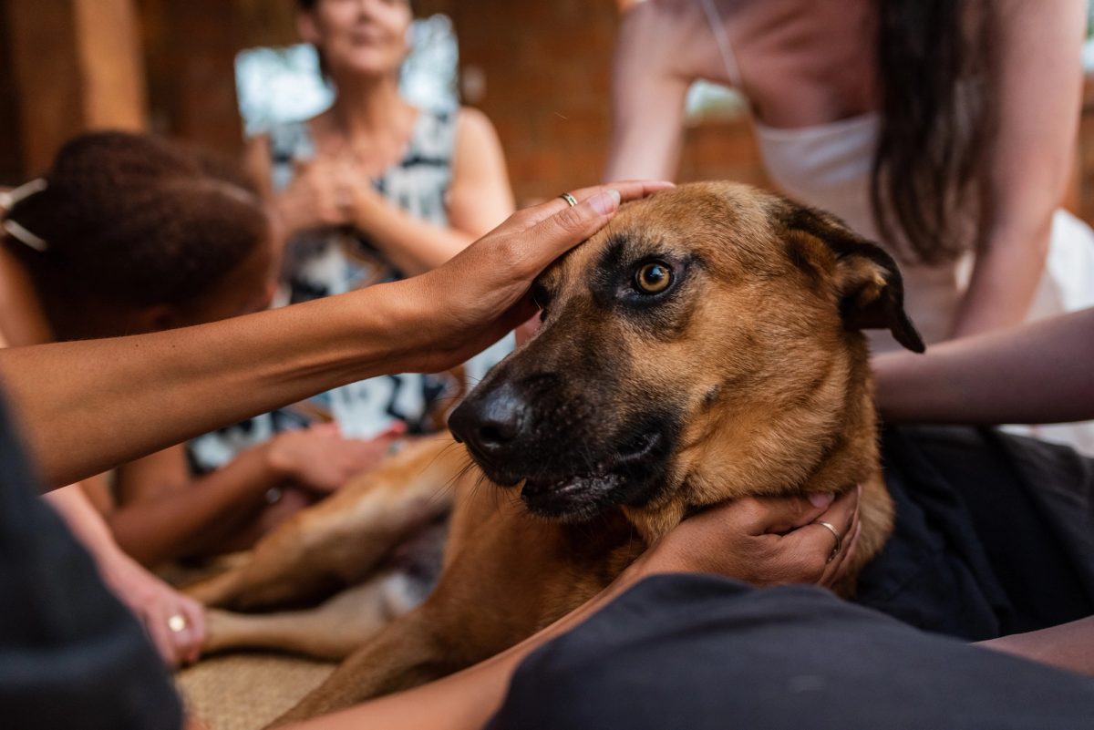 Reiki Retreat by Lisa