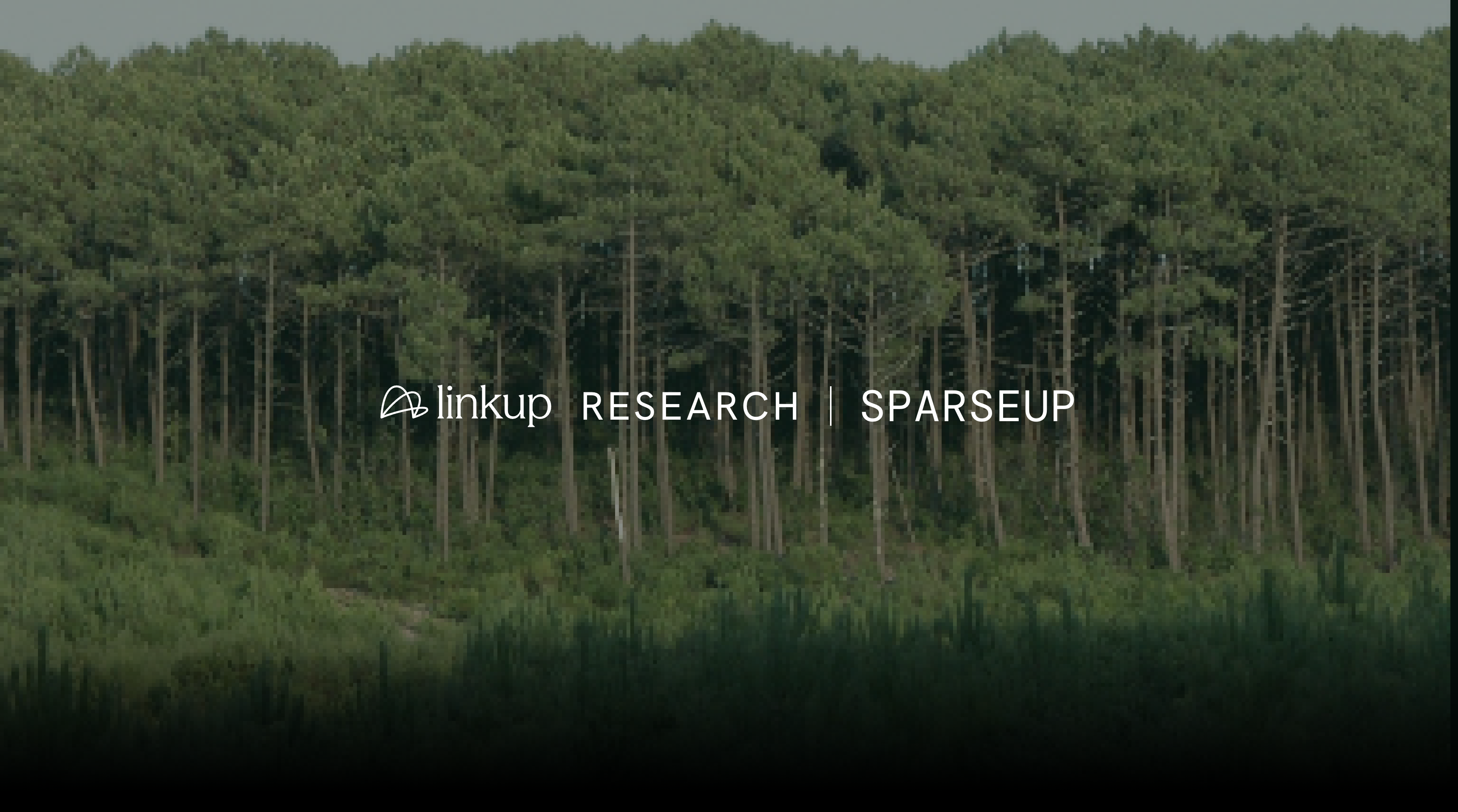 Text "linkup RESEARCH | SPARSEUP" overlaid on a dense forest of green trees.
