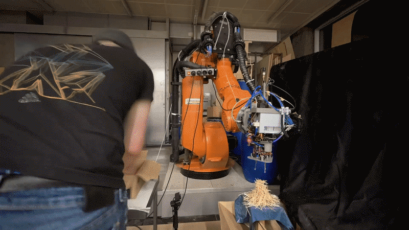 Behavioral Deposition — 2