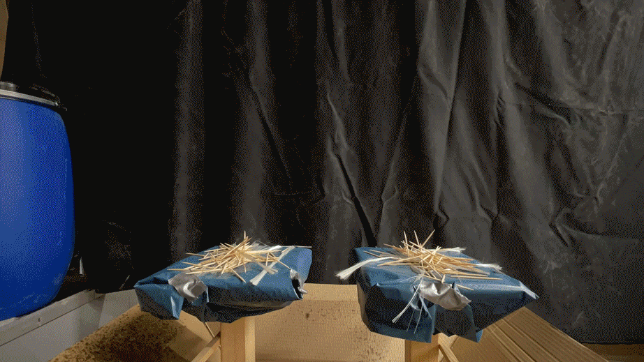 Behavioral Deposition — 5