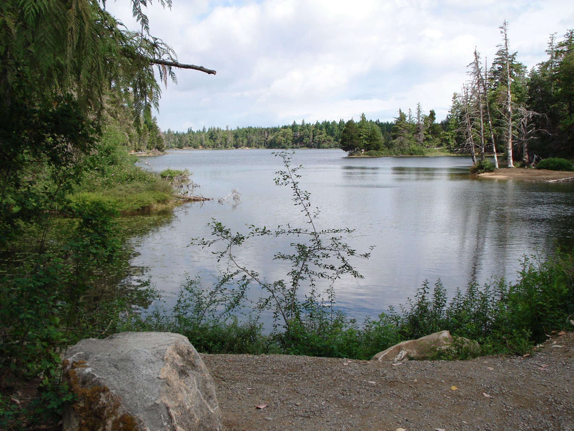 spider-lake