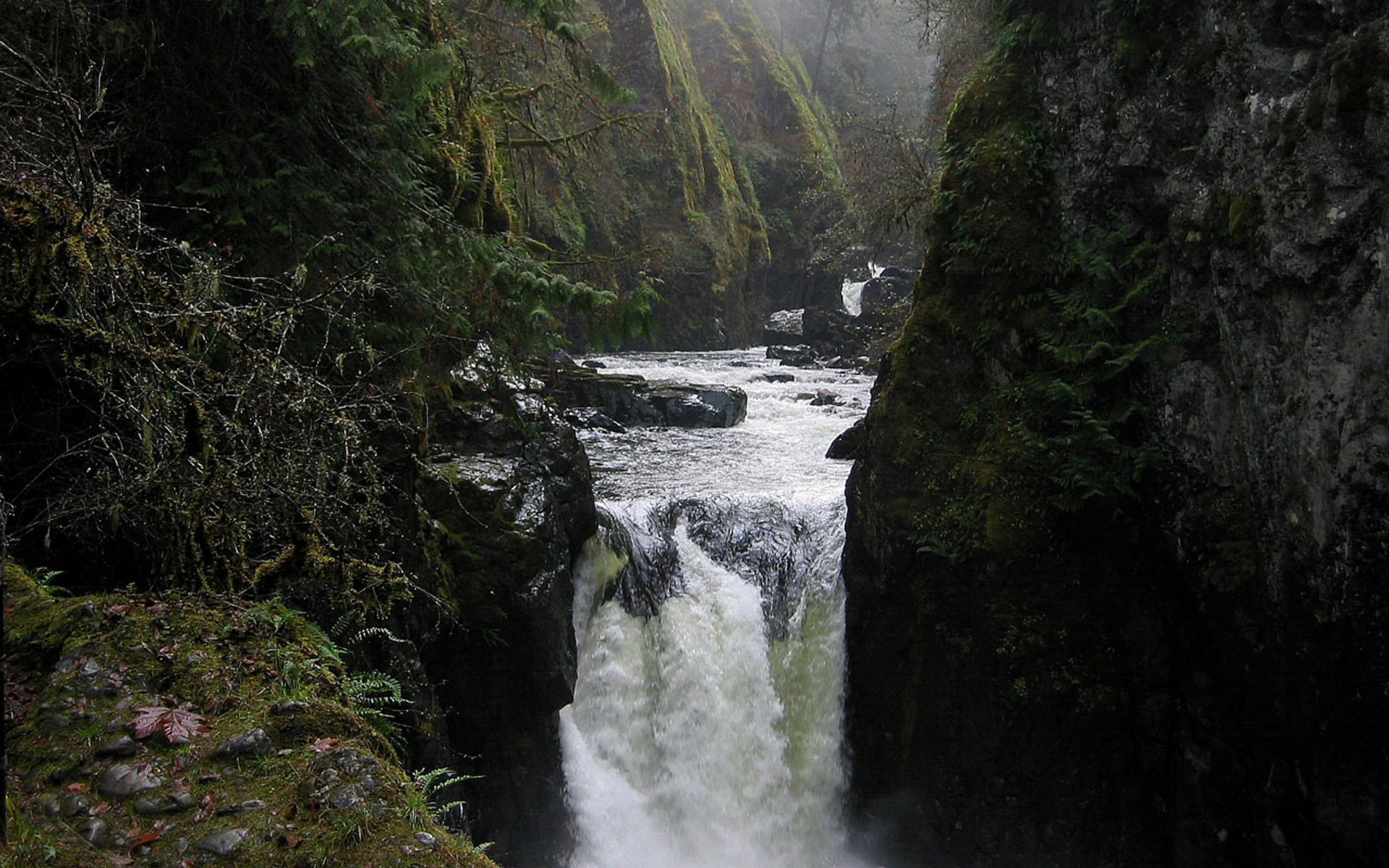 Englishman River (4)_0
