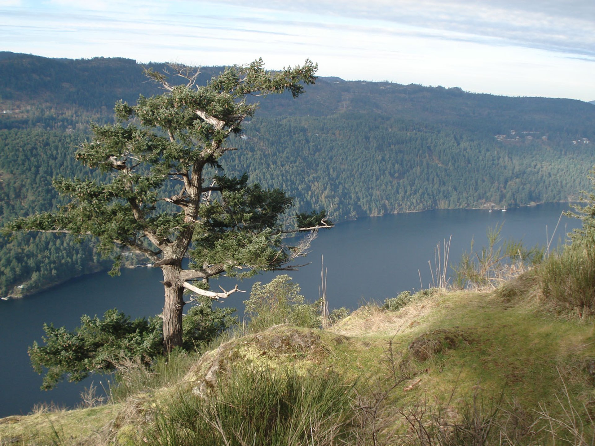 Gowlland Tod (1)_0