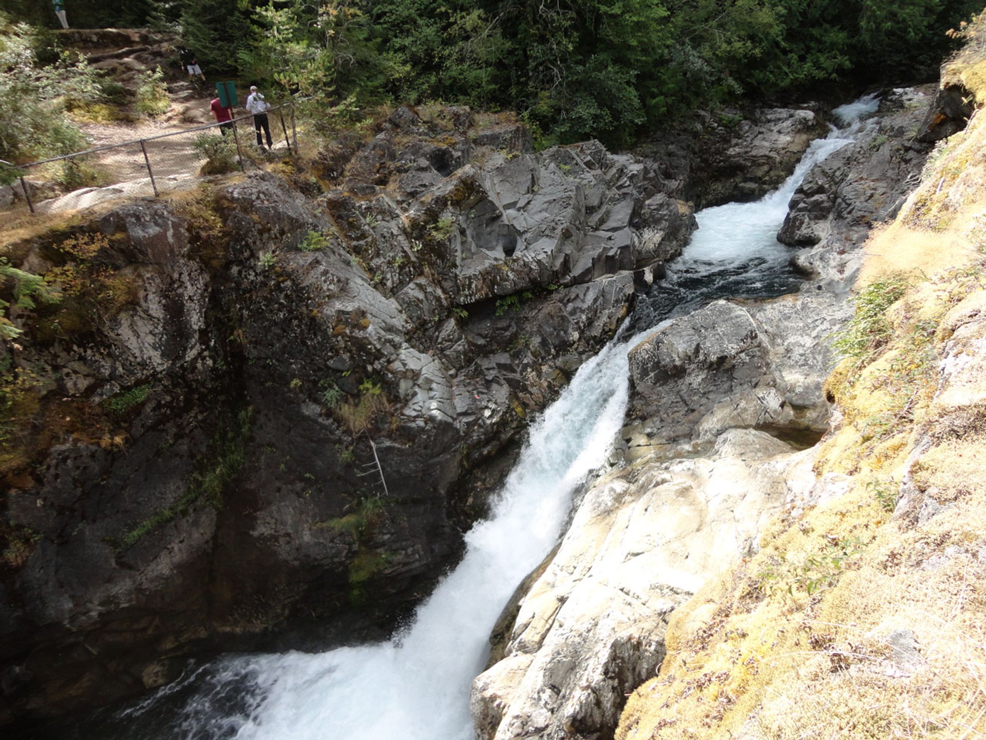 little-qualicum