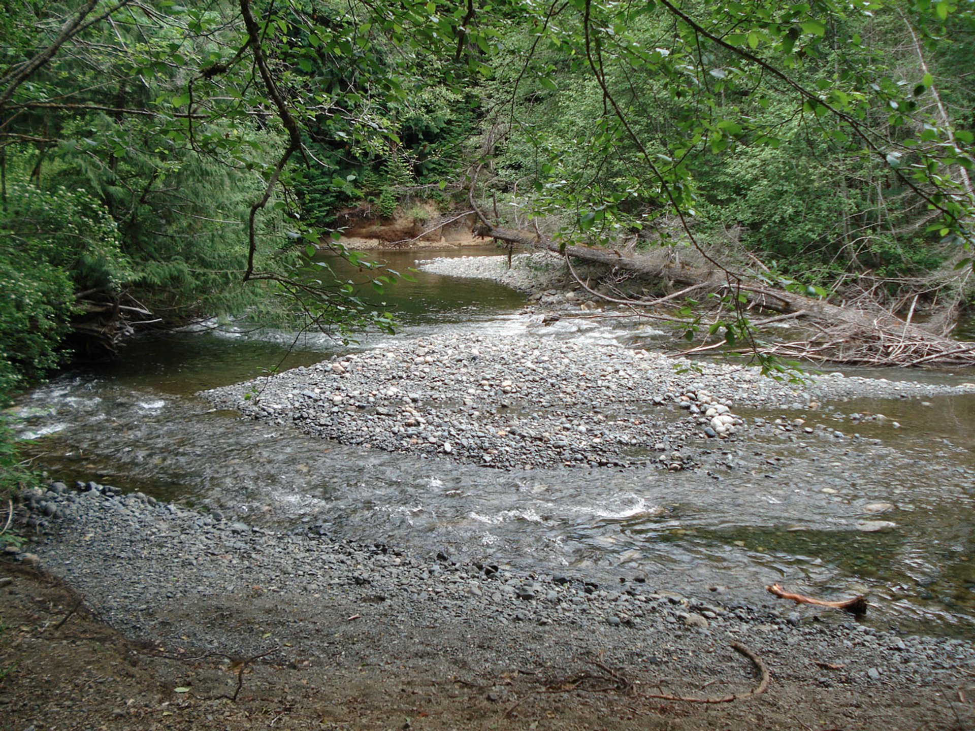 rosewall-creek