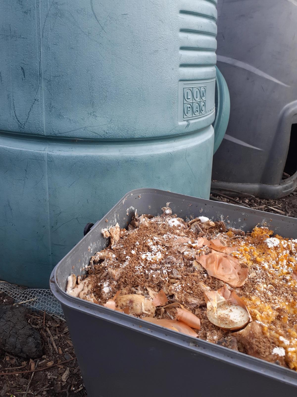 Raw scraps for composting