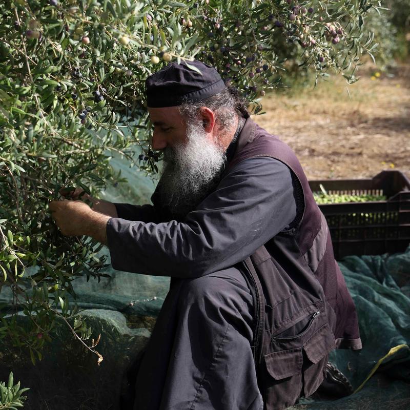 Mount Athos  — 26