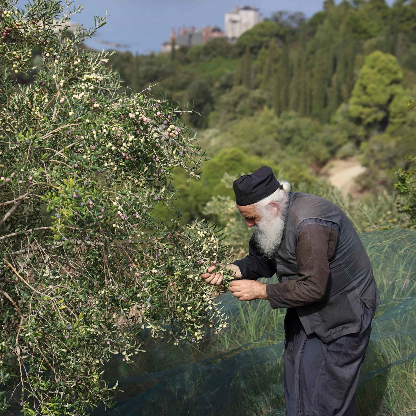 Mount Athos  — 33