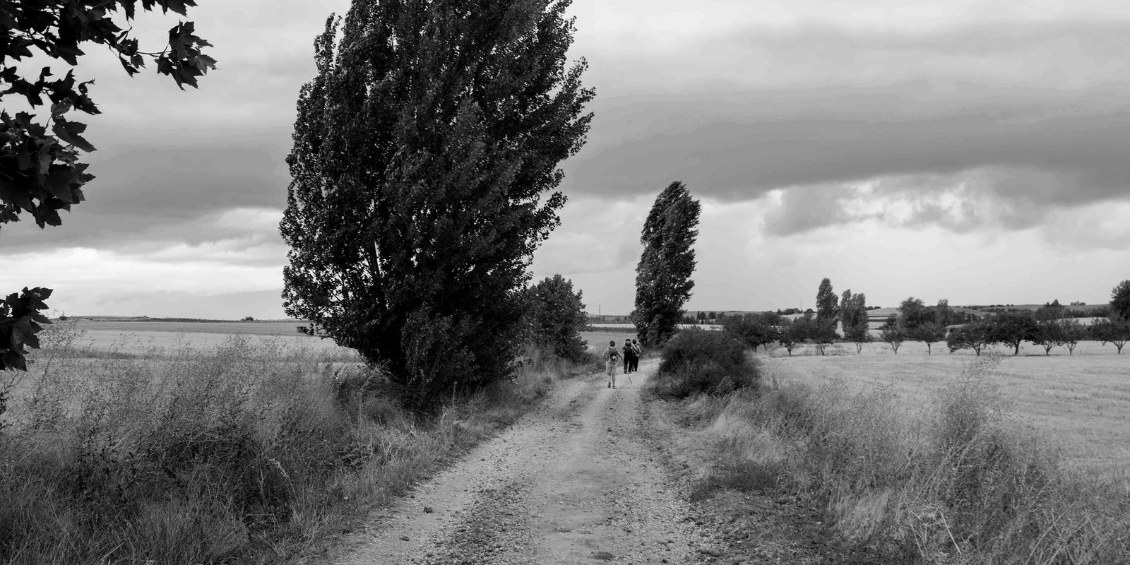 El Camino de Santiago - Route France — 7