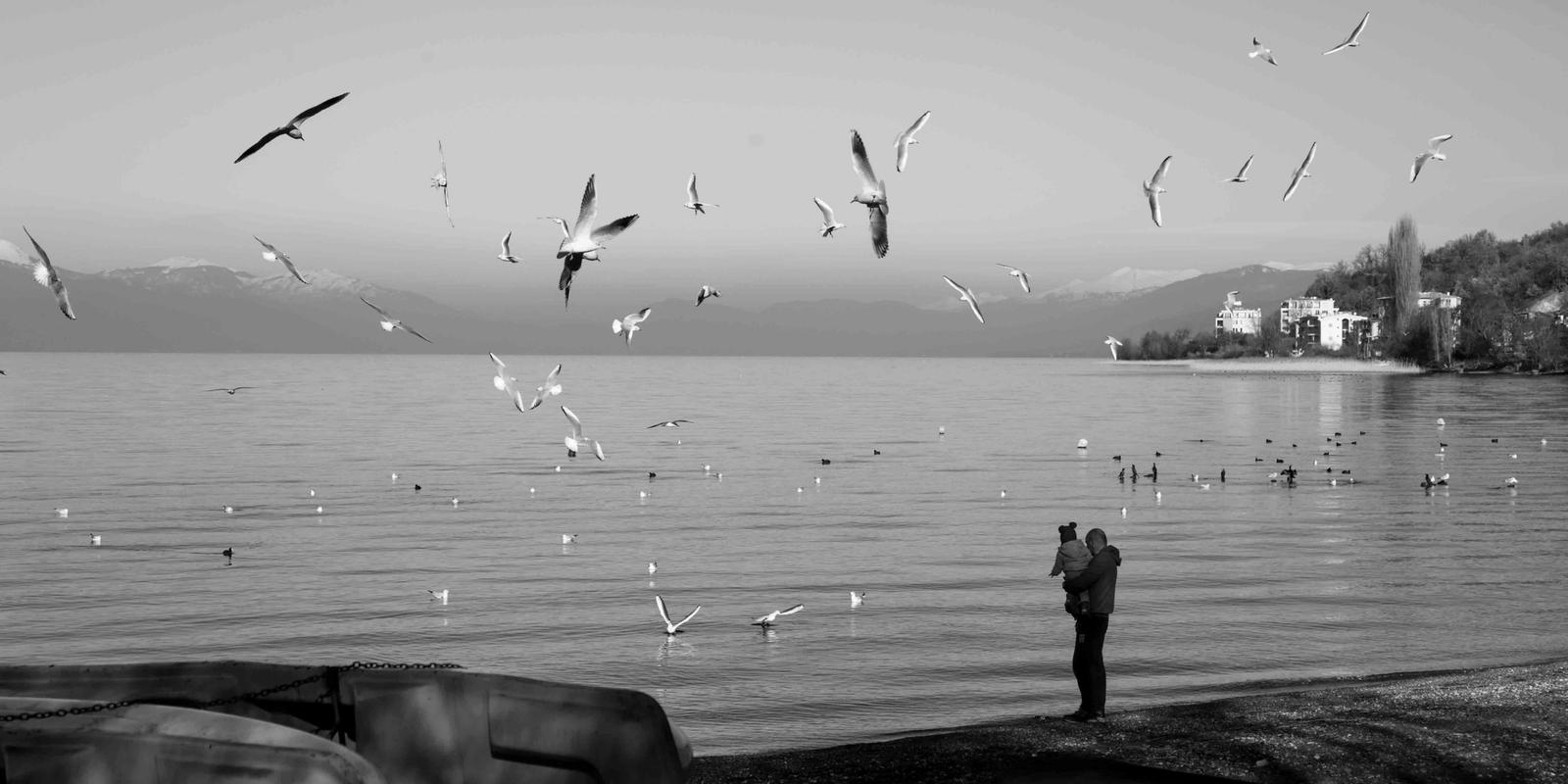 Balkans — 16