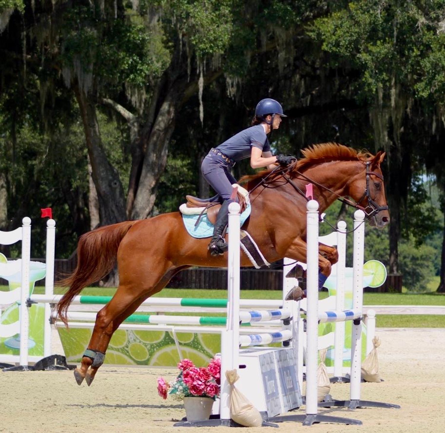 Leanne training a horse at an event in Orlando, Florida.