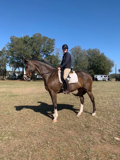Leanne training horses in Orlando, Florida.