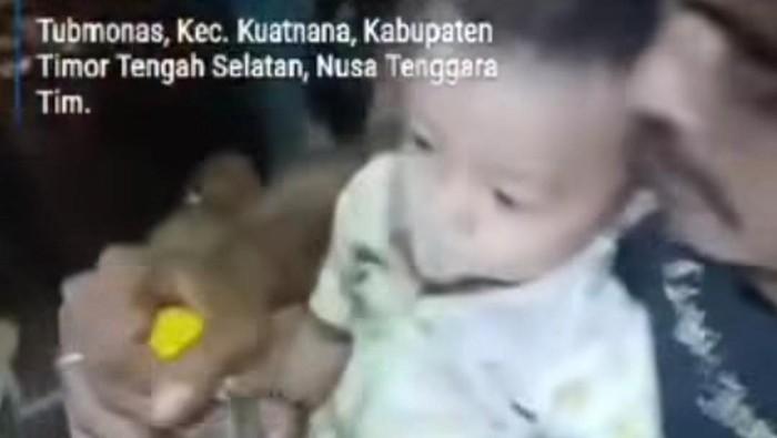 Polisi Selidiki Aksi Ayah Beri Miras ke Bayi di NTT, Klaim Sekadar Bercanda