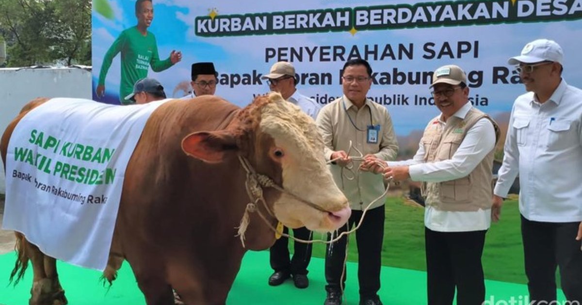 Wapres Gibran Sumbang Sapi 916 Kg ke Baznas, Akan Dikurbankan untuk Warga Tangerang