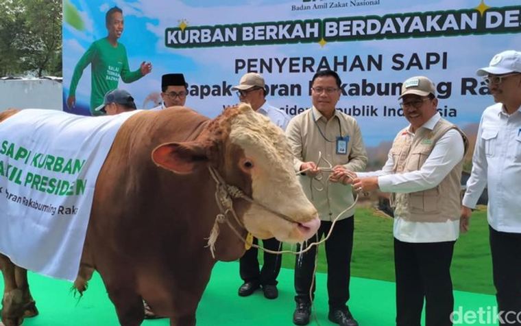 Wapres Gibran Sumbang Sapi 916 Kg ke Baznas, Akan Dikurbankan untuk Warga Tangerang
