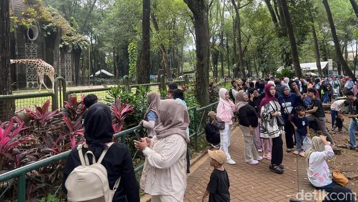 Ragunan Akan Buka Malam Hari, Khusus untuk Pengunjung yang Berolahraga
