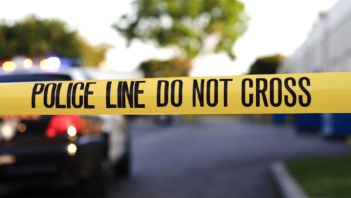 Koper Berisi Benih Lobster Senilai Rp 2 Miliar Digagalkan di Bandara Soekarno-Hatta, 5 Orang Ditangkap