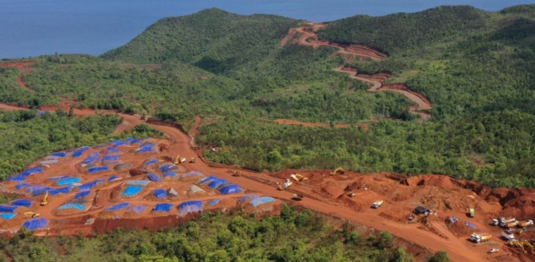 Kemenhut Hentikan Sementara Penerbitan PPKH Imbas Kerusakan Hutan Raja Ampat