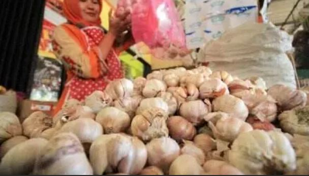 Presiden Prabowo Diminta Turun Tangan Usut Dugaan Mafia Impor Bawang Putih