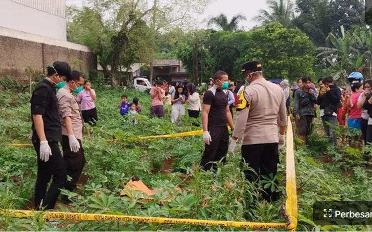 Tanpa Busana Mayat Wanita Ditemukan di Kebun Singkong Bogor