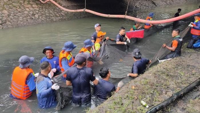 Tumpas Ikan Sapu-sapu, Petugas di Jakarta Barat Dapat Hadiah Uang hingga Tiket Ancol