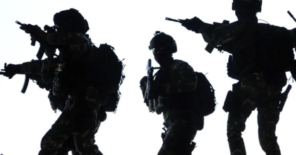 Ilustrasi artikel: Keberadaan Den Harin, Misteri Pasukan Senyap TNI Konon Lebih Mengerikan dari Kopassus