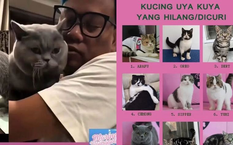 Uya Kuya Tabah Hadapi Penjarahan, Utamakan Keluarga dan Kucing Kesayangan