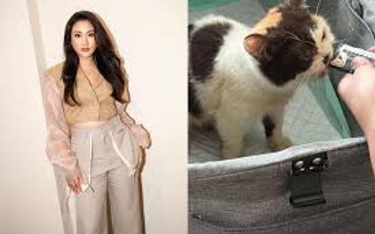 Sherina Munaf Kembali Jalani Pemeriksaan Polisi Gara-gara Kasus Kucing Uya Kuya