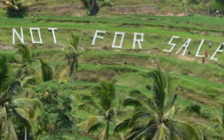 🌾 Bali Stop Izin Hotel & Restoran di Sawah