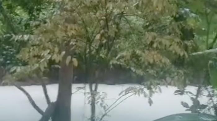 Kebakaran Pabrik di Tangsel Cemari Sungai, Air Berubah Putih dan Ikan Ditemukan Mati