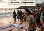 Viral Oarfish Terdampar Lombok Ben, Ini Faktanya!
