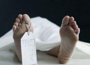 5 Petugas TPS Meninggal Saat Bertugas