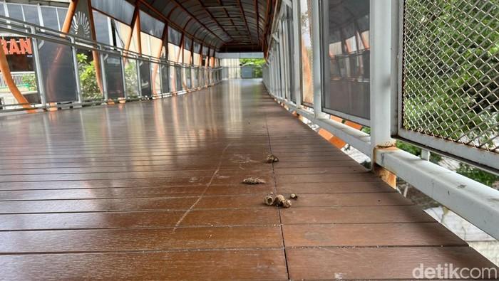 Masalah Kebersihan Terulang, Kotoran Kucing Kembali Ditemukan di Skywalk Kebayoran Lama