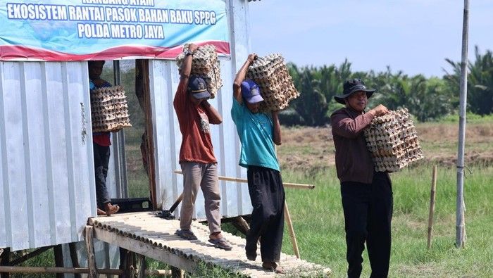 Hasil Panen Telur di Bekasi Capai 3.000 Butir, Disalurkan Polda Metro ke Program Gizi