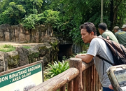 Kronologi Anak Jatuh ke Kandang Gajah Ragunan yang Viral