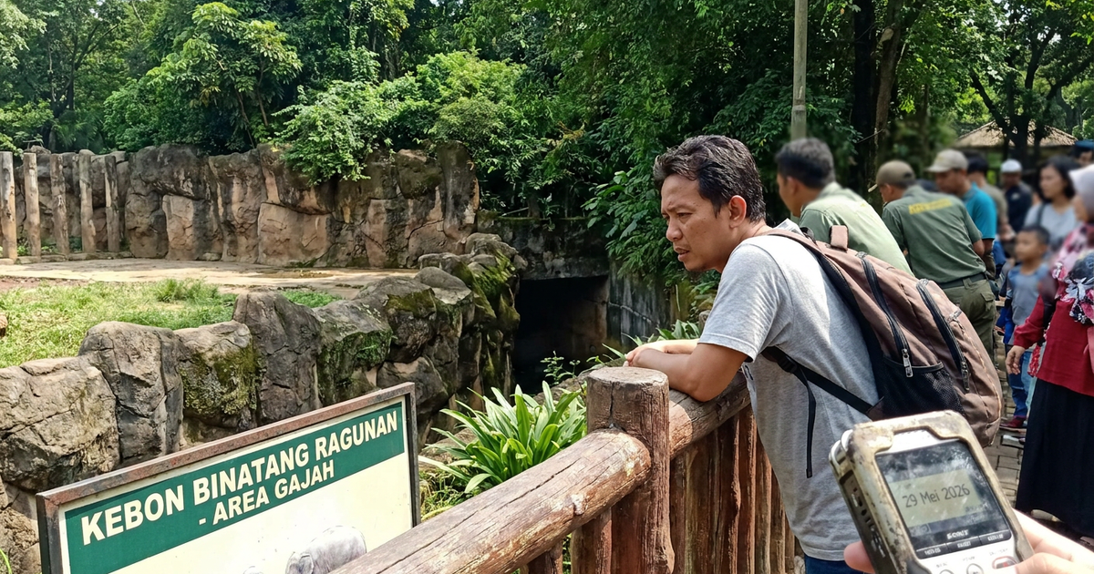 Ilustrasi artikel: Kronologi Anak Jatuh ke Kandang Gajah Ragunan yang Viral