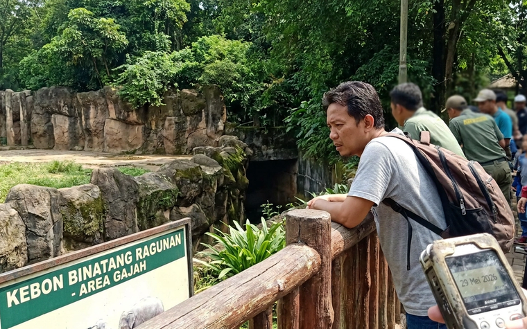 Kronologi Anak Jatuh ke Kandang Gajah Ragunan yang Viral
