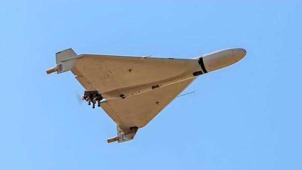 Polandia Hadapi Serangan Rusia ke Ukraina