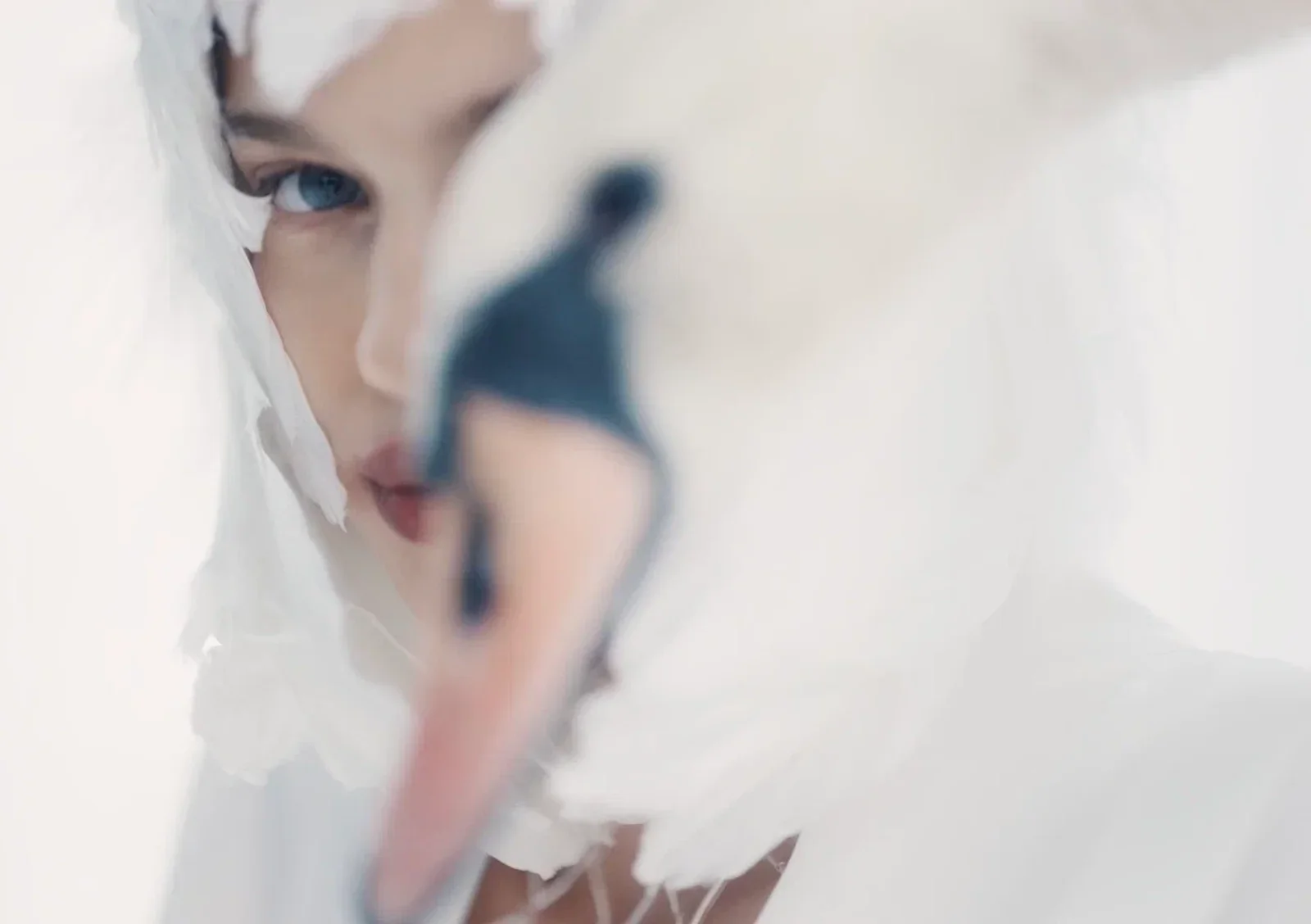 Still №003.2