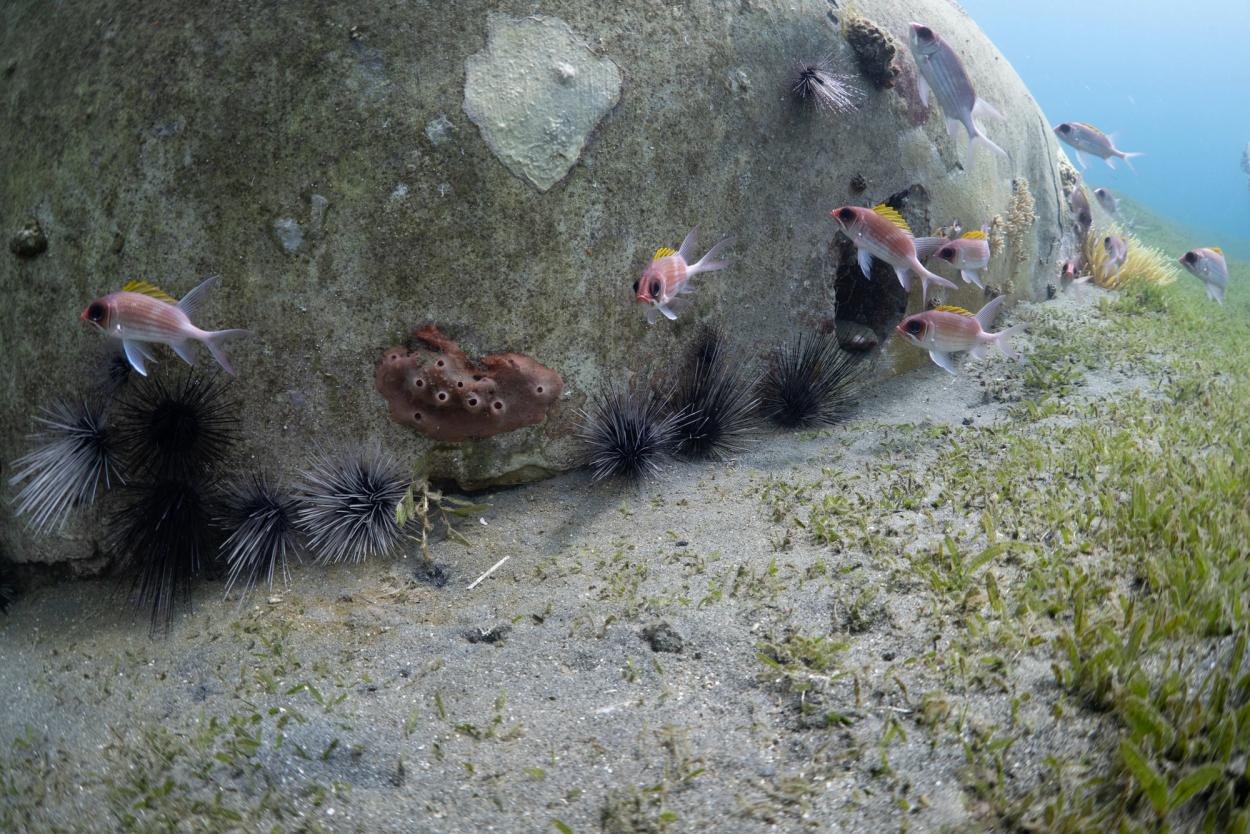 Fishes and sculpture