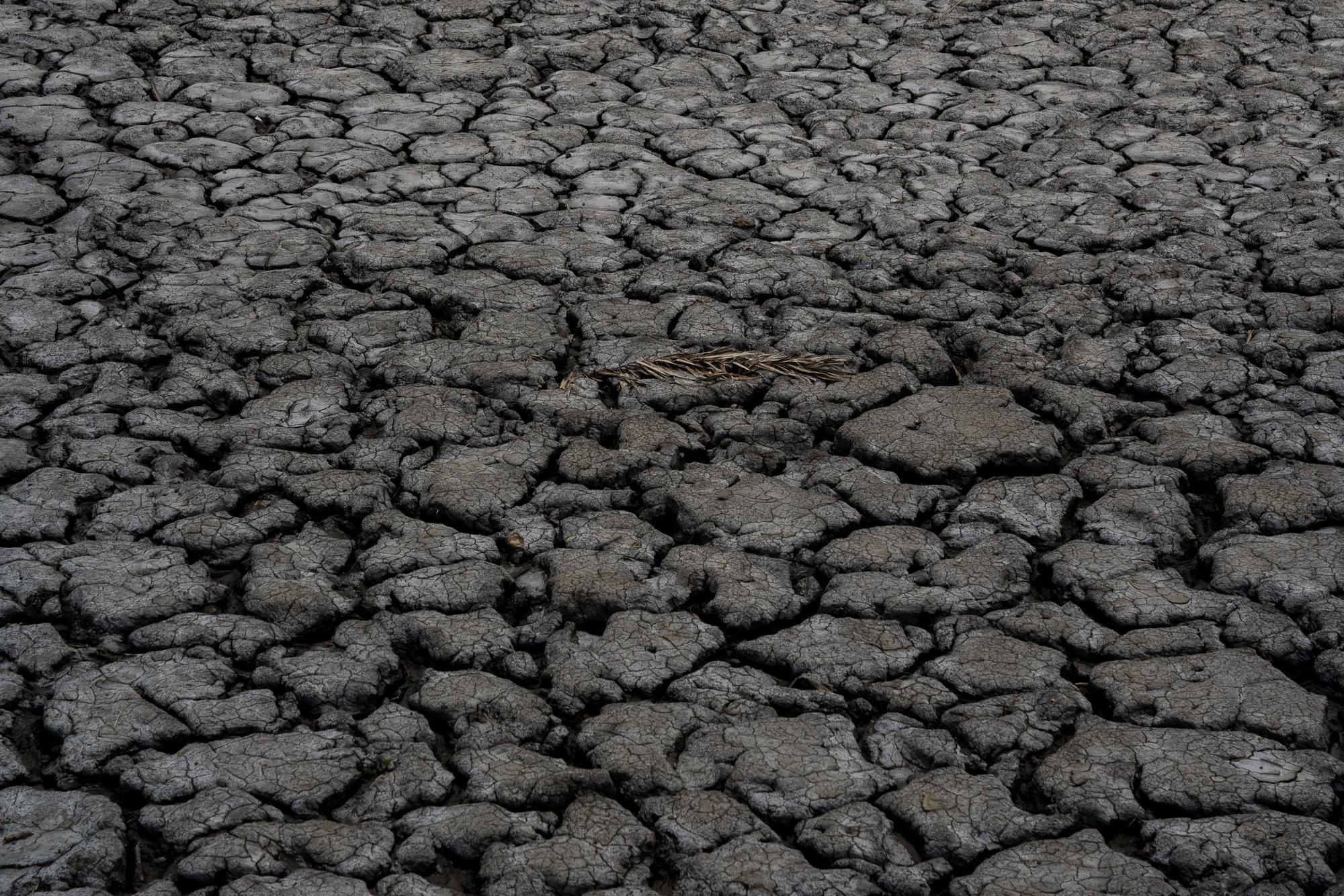 cracked, salt-crusted land