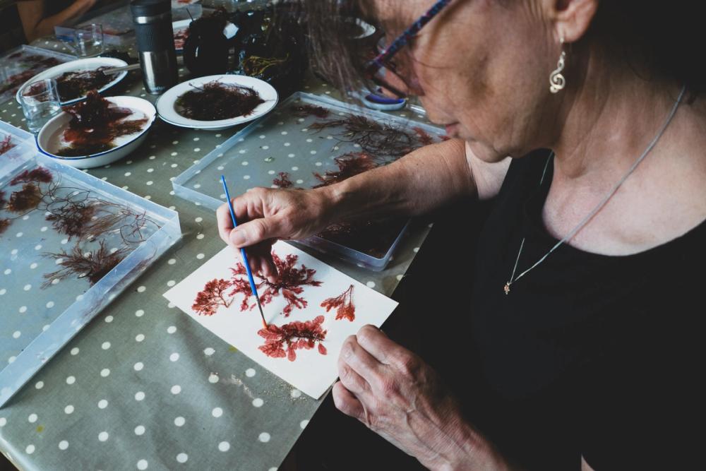 Using a fine paintbrush to make final adjustments to red seaweed on paper.