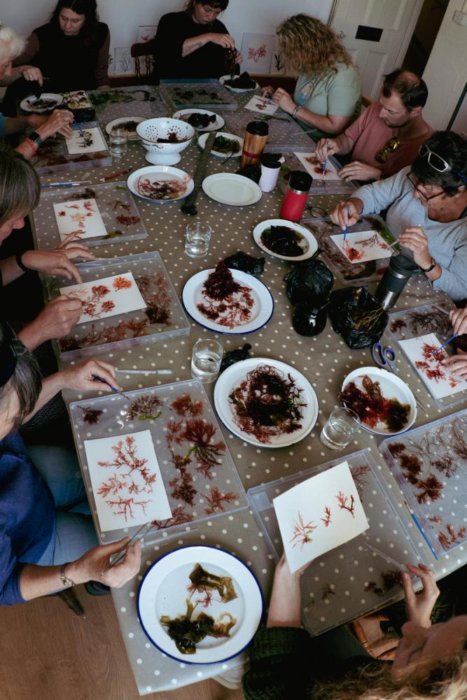 Seaweed pressing workshop