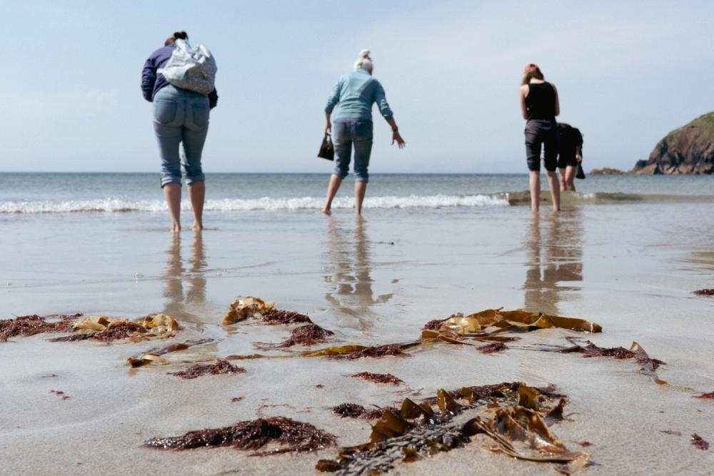 Three people wading in the shallows on on a beach