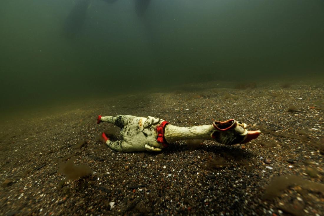 A rubber rooster on the seabed