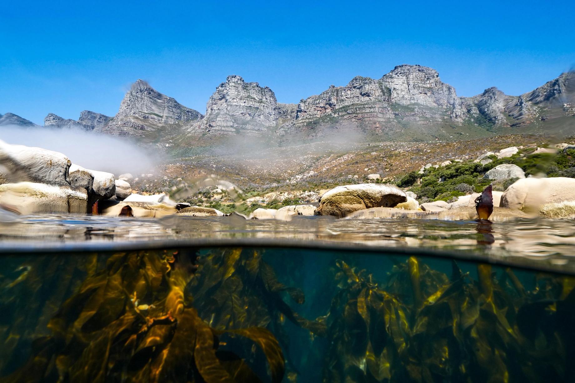 Split shot of kelp and mountains in Cape Town