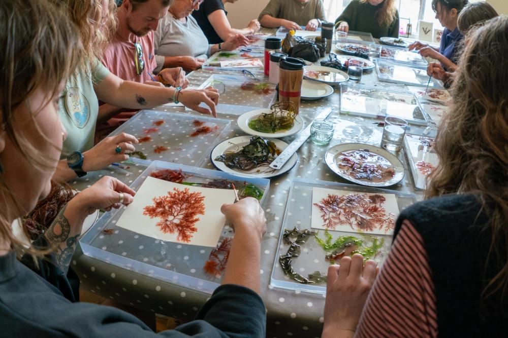 Group of people seated at a table at a seaweed pressing workshop